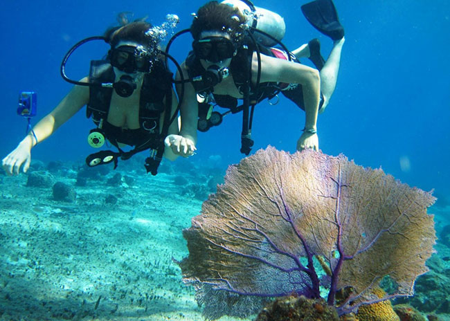 Kenneth and his girlfriend very stunned while watching the corals of Cozumel.