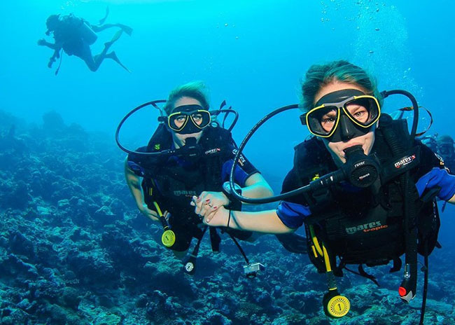 1 Discover Scuba Diving Cozumel: Learn to Dive from $79