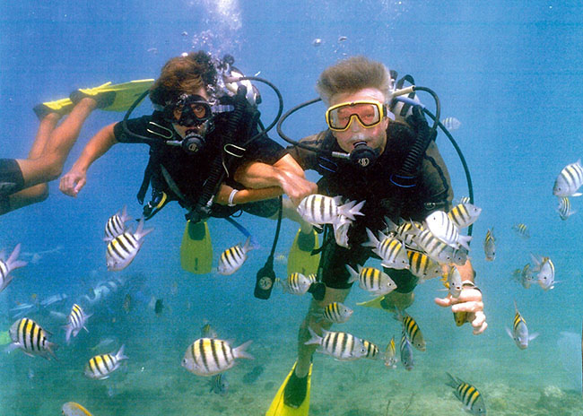 1 Discover Scuba Diving Cozumel: Learn to Dive from $79