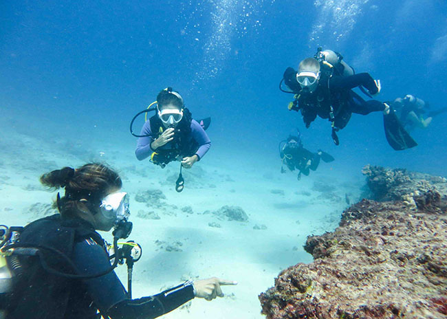 1 Discover Scuba Diving Cozumel: Learn to Dive from $79